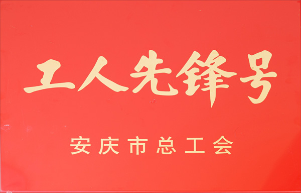 10安庆市工人先锋号.JPG