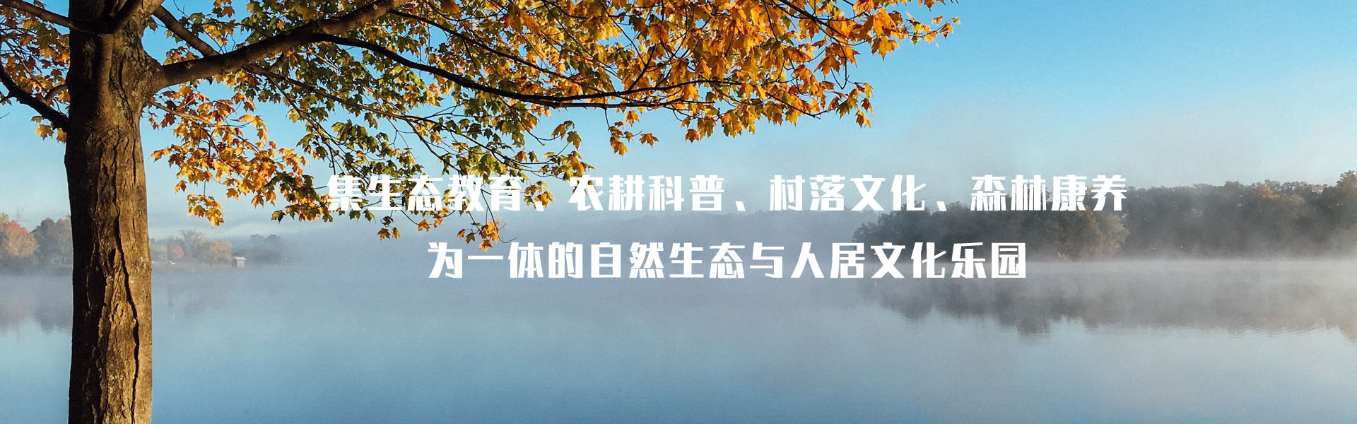 幻灯1