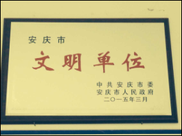 2015年安庆市文明单位